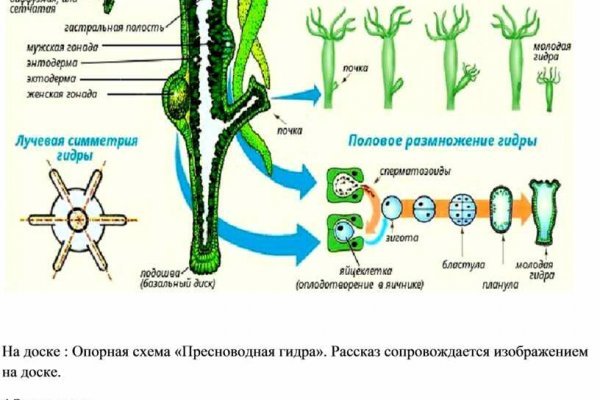 Кракен маркетплейс ассортимент