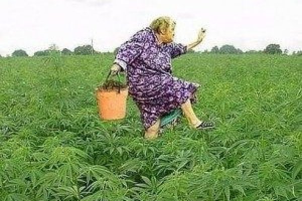 Кракен почему не заходит
